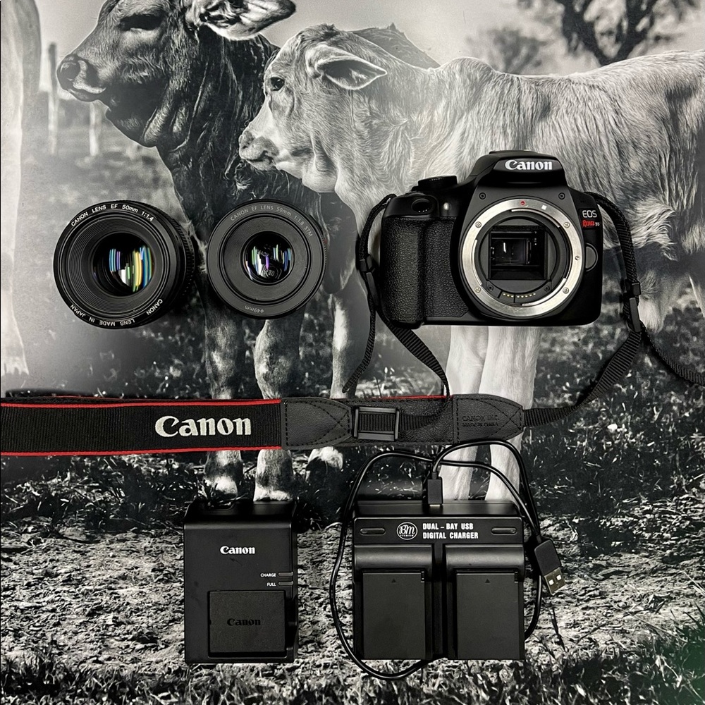 Canon Rebel T6 camera body, 50mm 1.4 lens & 50mm 1.8 lens